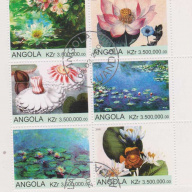 Angola Flowers