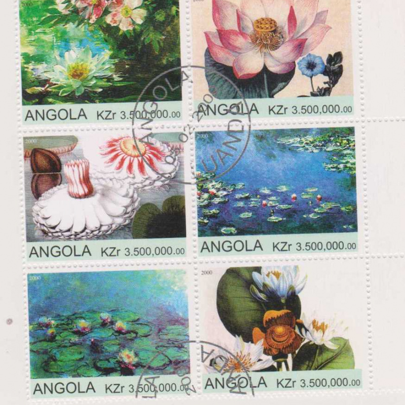 Angola Flowers