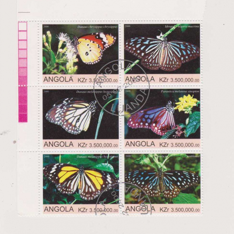 Angola Butterflies