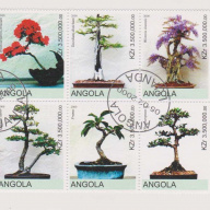 Angola Trees