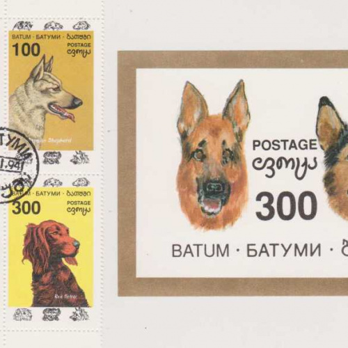 Batum Dogs set with S/S