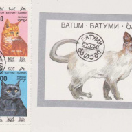 Batum Cats set with S/S