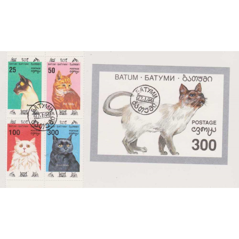 Batum Cats set with S/S
