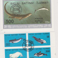 Batum Whales set with S/S