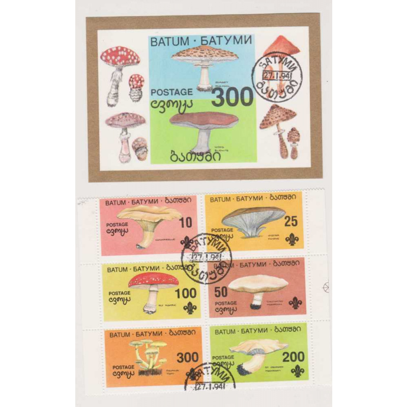 BatumMushrooms Set with S/S