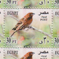Egypt 1916