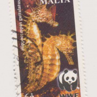 Malta #1071