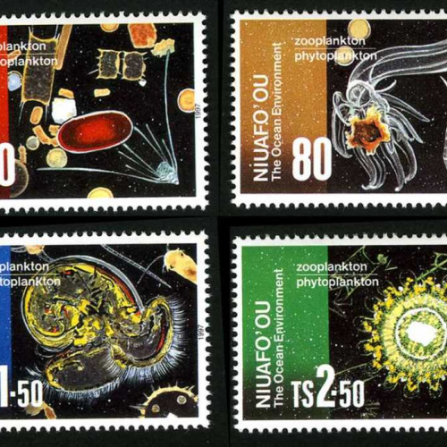 Tonga Niaufoou #194-7