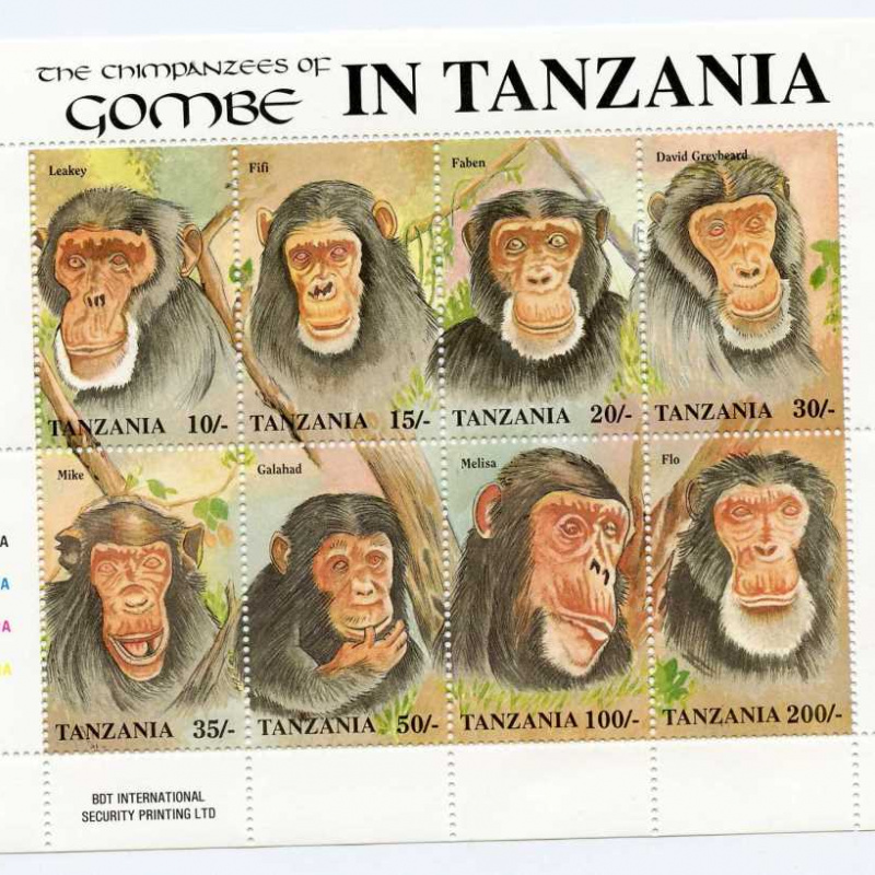 Tanzania #876