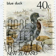 New Zealand 830