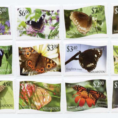 Tonga Niaufoou #275-86