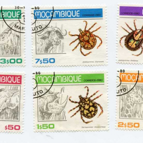 Mozambique #674-9