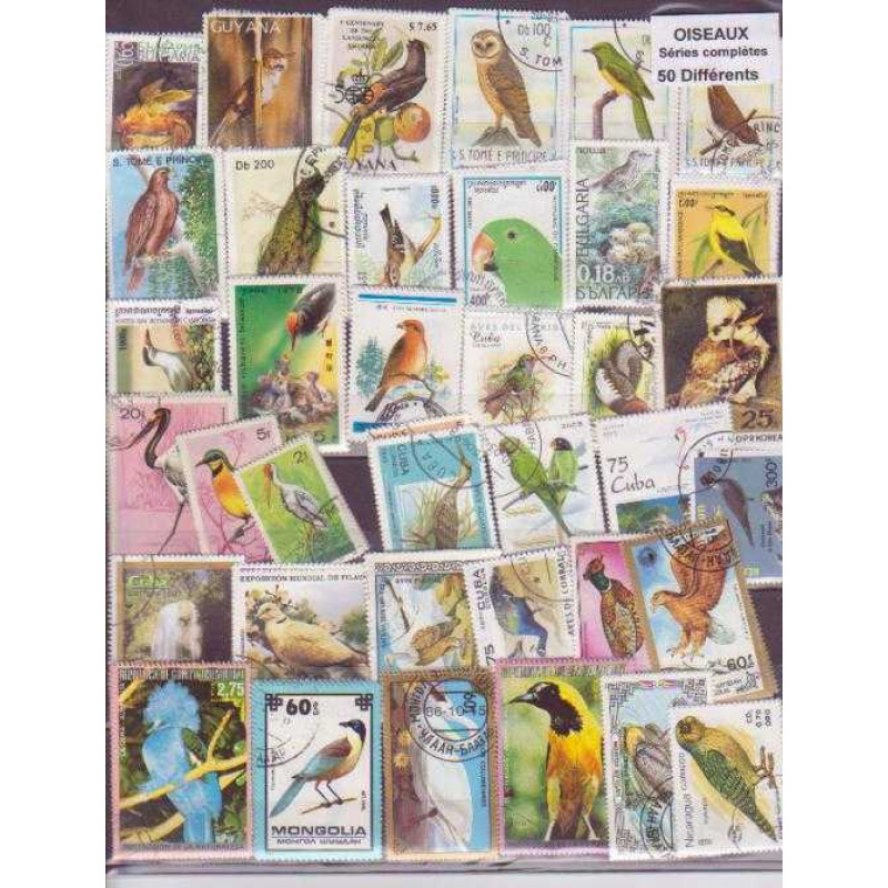 50 All different birds sets