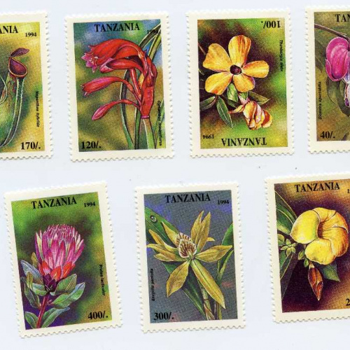 Tanzania #1303-9
