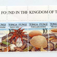 Tonga #976