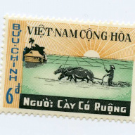 Vietnam #376