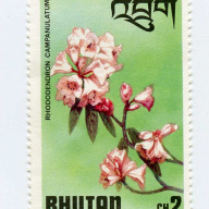 Bhutan #204