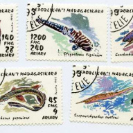 Malagasy 1280-6