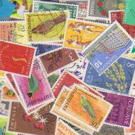 100 Surinam All Different stam