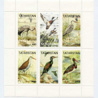 Tatarstan # 139-44 Local issue