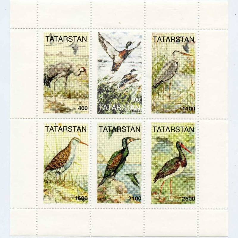 Tatarstan # 139-44 Local issue