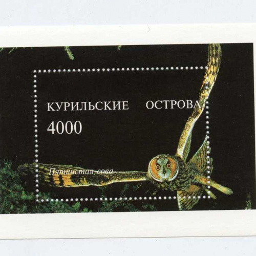 Kuril Island # 31 Local issue