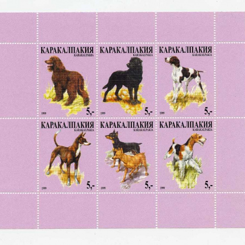 Karakalpakia # LT114