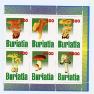 Buriatia # 433-38
