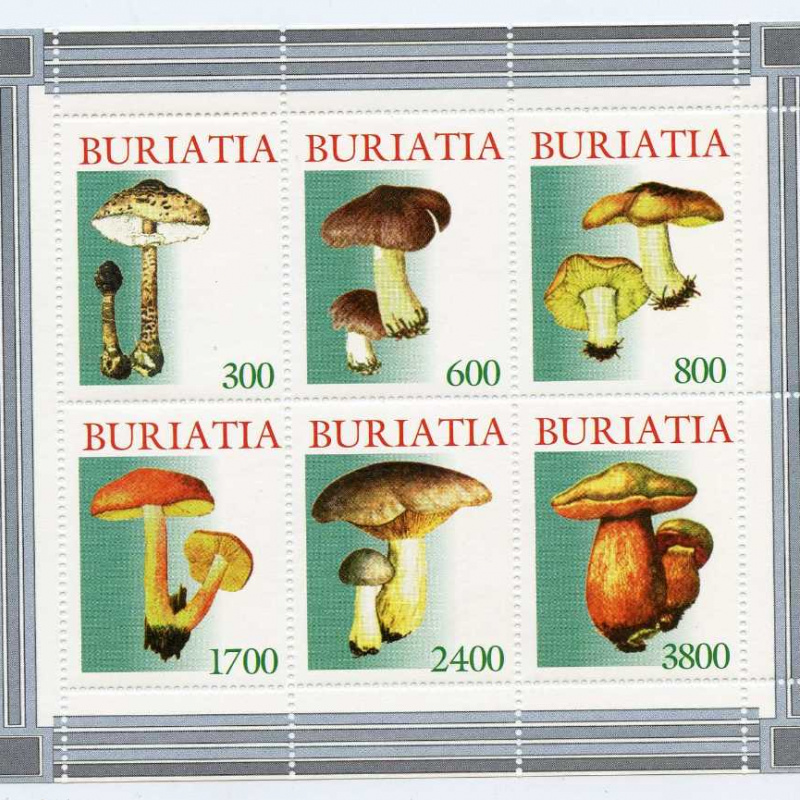 Buriatia # 421-26
