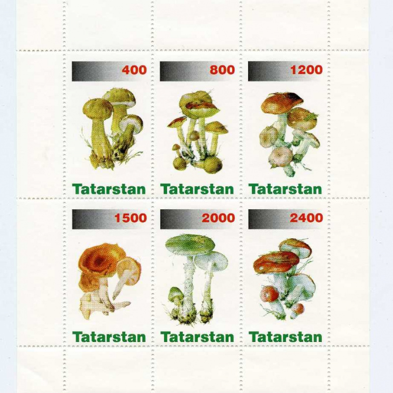 Tatarstan #151-56