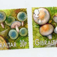 Gilbraltar #950-53