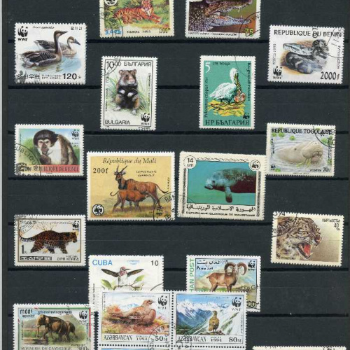 25 All diff. WWF Animal sets
