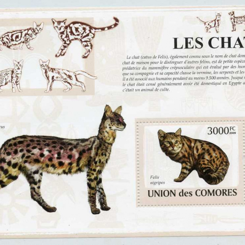 Comoro lslands #1016