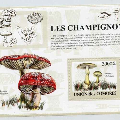 Comoro lslands #1070