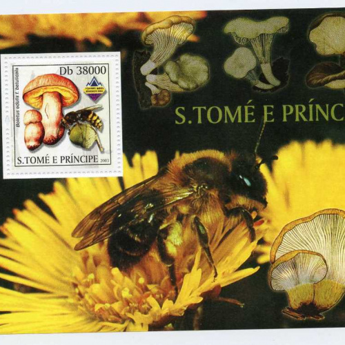 St. Thomas-Prince #1498