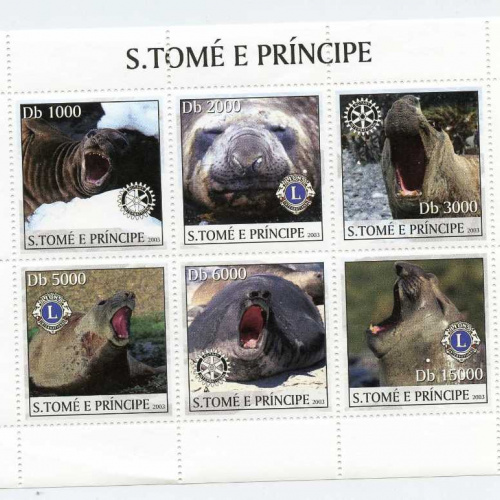 St. Thomas-Prince #1516