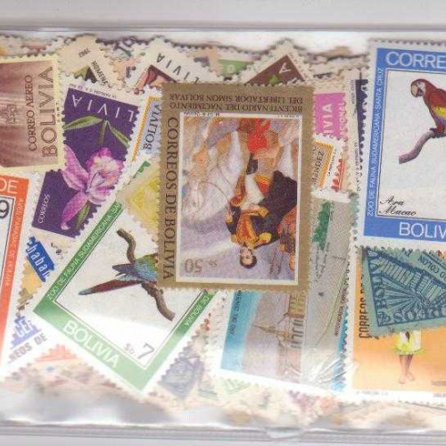 300 Bolivia All Different Stam
