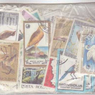 500 Birds all different stamps