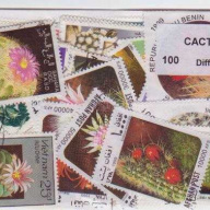 25 Cactus all different stamps