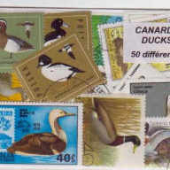 50 Ducks all different stamps