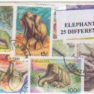 10 Elephants all different sta