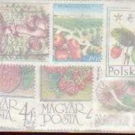 25 Fruits & Vegetables all dif