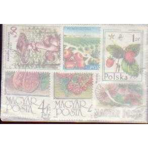 25 Fruits & Vegetables all dif