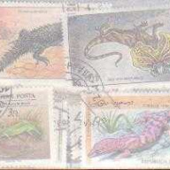 25 Lizards all different stamp
